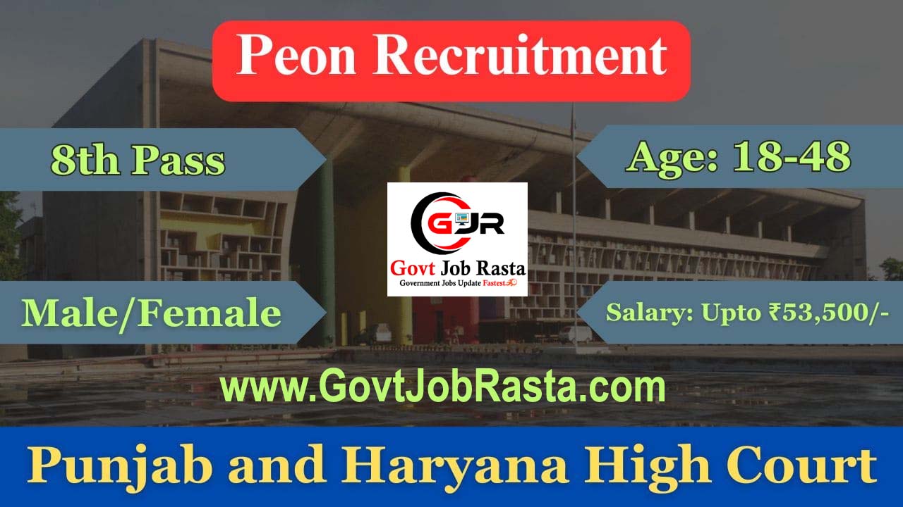 Punjab and Haryana High Court 300 Peon Recruitment 2024 Online Form