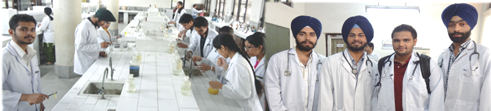 Punjab Dr. Ambedkar Scholarship Online Form 2025